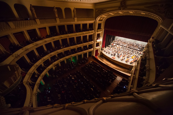 Teatro Francesco Cilea - immagine #126