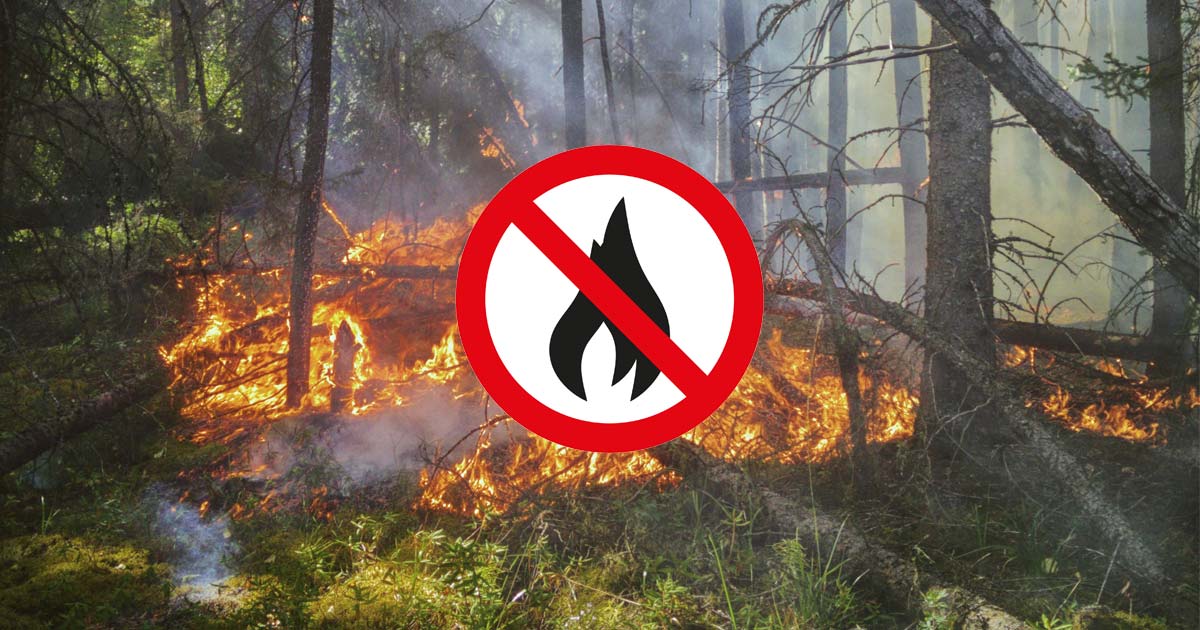Immagine relativa alla notizia Ord. Sind. n. 59-2025 - nuovo provvedimento "Prevenzione e lotta contro gli incendi boschivi e di interfaccia anno 2025 - Comunicazioni alla popolazione"